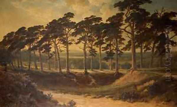 Harrow from the First Hampstead Heath 1875 - view 1