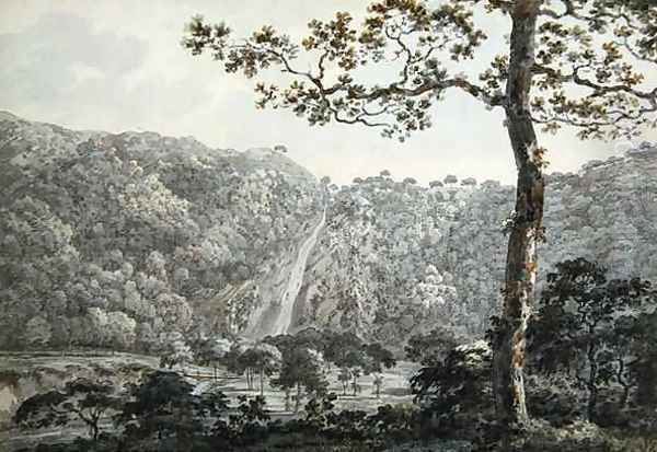 The Falls at Powerscourt, Co. Wicklow, Ireland - view 1