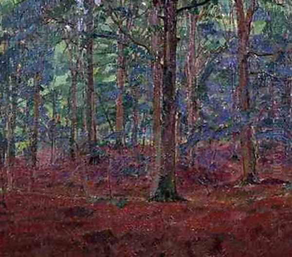 A Beech Wood - view 1