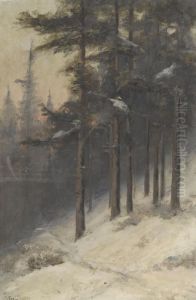 Verschneiter Waldhang Verschneiter Waldhang
