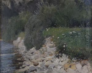 Uferboschung Mit Blumenwiese by Hans Sandreuter