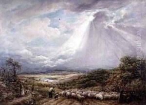 Driving the Flock 1877 Driving the Flock 1877