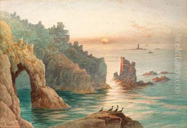 Sea Birds On A Rock Before A Coastal View - view 1