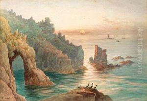Sea Birds On A Rock Before A Coastal View