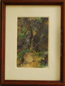 Woodland And Rocks by Otto Seitz