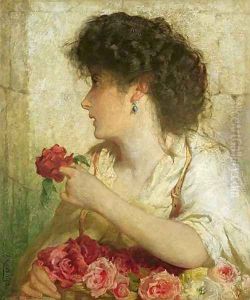 A Summer Rose