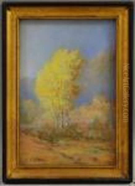 Fall Foliage. - view 1
