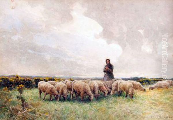 Shepherd And Sheep Grazing - view 1