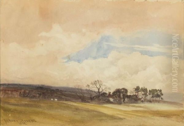 Landscape - view 1