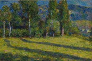 Alberi In Montagna by Alberto Stringa
