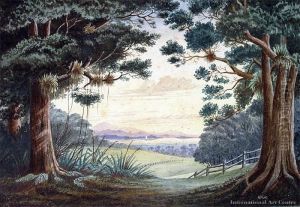 View To Mt Karioi Through Trees View To Mt Karioi Through Trees