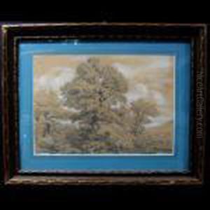 Landscape Study Landscape Study
