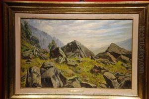 Paesaggio Montano