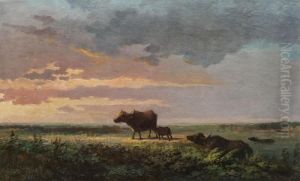 Peisaj Cu Familie De Bivoli