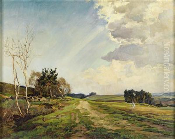 Am Ackerrain - view 1
