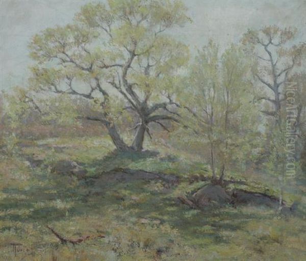 New England Spring - view 1