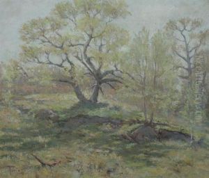 New England Spring by Jules Turcas