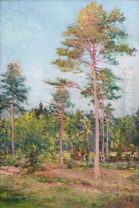 Pine