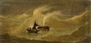 The Whale by Jan Van De Kerkhove