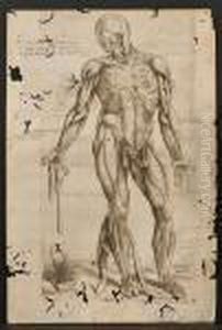 Two Title Pages by Andreas Vesalius