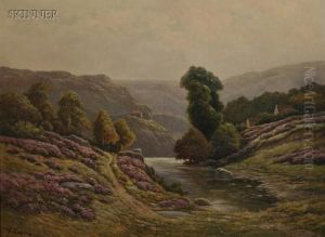 Scotch Heather, Near Loch Lomond