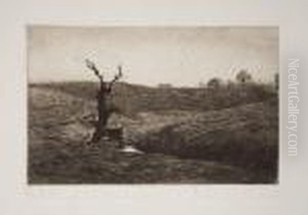 Paysages De L'aveyron - view 1