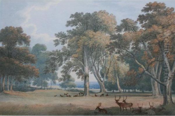 Deer In Windsor Park - view 1