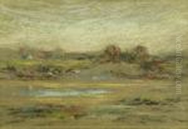 Marshlands - view 1