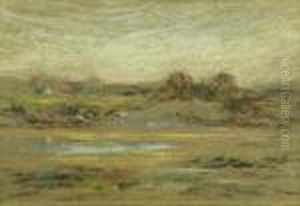 Marshlands by Henry Cook White