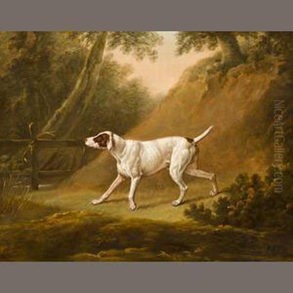 Brown And White Pointer - view 1