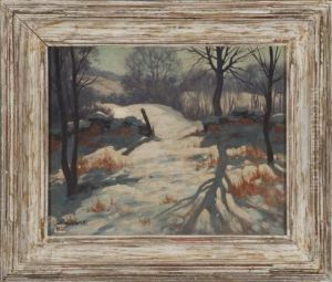 Forest Landscape Scene Forest Landscape Scene