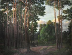 Heidelandschaft. Kiefern In Der Abendsonne