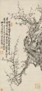 Plum Blossoms