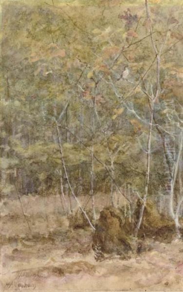 Oak Twigs In Spring - view 1