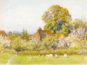 Springtime In Witley, Surrey