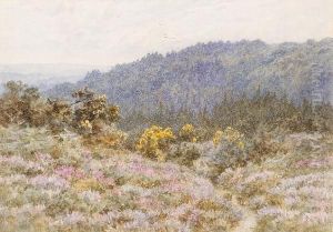 Tennyson's Woods At Blackdown, Near Haslemere, Surrey Tennyson's Woods At Blackdown, Near Haslemere, Surrey
