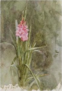Sunflower; Pink Gladiolae Sunflower; Pink Gladiolae