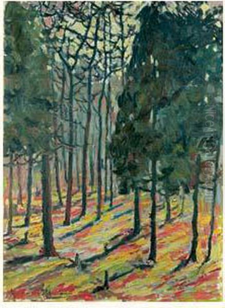 Sous-bois En Foret - view 1