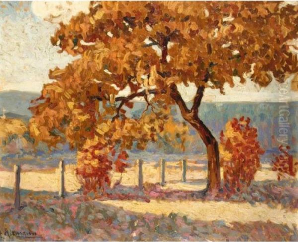 Autumn - view 1