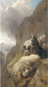 Sheepdogs With A Stricken Sheep In A Mountainous Highlandlandscape