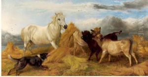 Cheval Et Veaux Dans La Paille