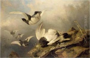 Ptarmigan by Richard Ansdell