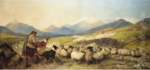 Sheep Gathering In Glen Spean Sheep Gathering In Glen Spean