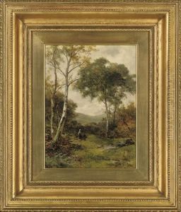 A Walk In Bareti Woods, Capel Curig, Wales