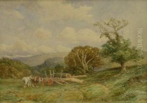 In Bolton Woods by David Bates