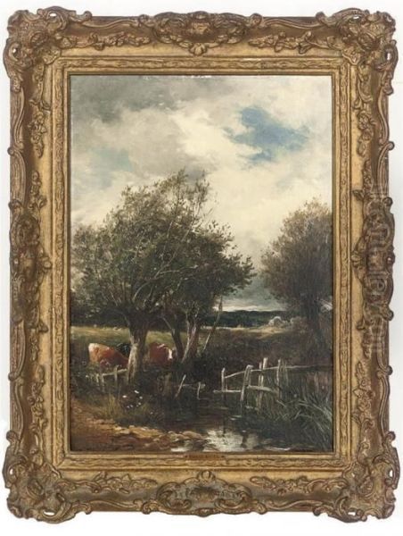 Cows Watering At A Stream, Worcestershire - view 1