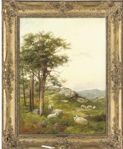 On The Hillside, Capel Curig