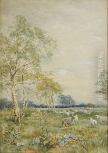A Corner Of The Meadow; A Summer Afternoon by David Bates