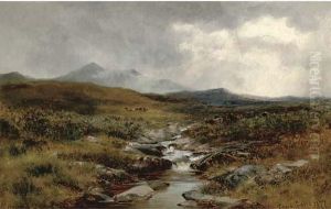 A Welsh Moorland Stream by David Bates