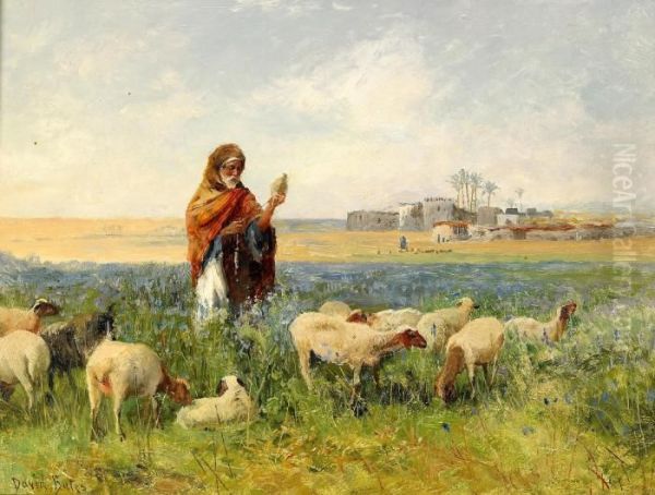 Shepherd With Flock In Lupin Pasture - view 1